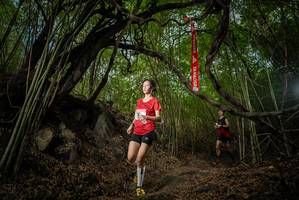 BIB: 
                            <button type="button" onclick="openModal(22177267)" class="btn btn-primary btn-sm float-right btn-popup" data-toggle="modal" data-target=".modal-high-quality">
                        <i class="fas fa-shopping-cart"></i> Add to Cart
                    </button>
                                            <button type="button" onclick="isThisMe(22177267, true)" class="btn btn-success btn-sm float-right btn-popup btn-isme hidden" data-toggle="tooltip" data-placement="bottom" title="นี่คือรูปของคุณใช่ไหม คลิกที่นี่เพื่อเอาเข้าอัลบั้ม">
                        <i class="fas fa-plus"></i> Add to album
                    </button>
                    <button type="button" onclick="isThisMe(22177267, false)" class="btn btn-warning btn-sm float-right btn-popup btn-isnotme hidden">
                        <i class="fas fa-ban"></i> Remove from album
                    </button>